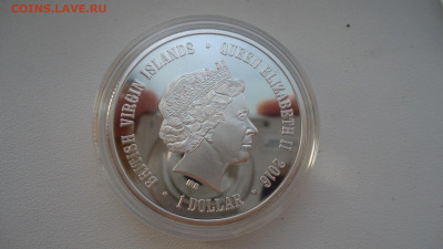 БРИТАНСКИЕ ВИРГИНЫ 1 ДОЛЛАР 2016 ЁЖ - DSC07812.JPG