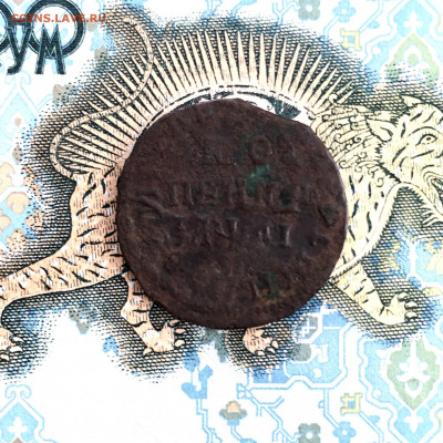 Копейка Пётр I 1711 года. До 22:00 17.01.20 - 78E75AD8-D532-4E89-A533-C85960E5CCB2