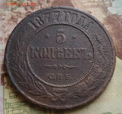 5 копеек 1877 до 17.01.2020 в 22.00 - DSC04254.JPG