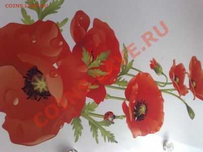 А ты Строитель?! - 01062011237