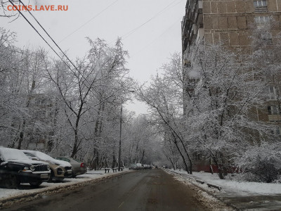 ФОТО - просто фото. Те что получились удачными. - 20200111_131151