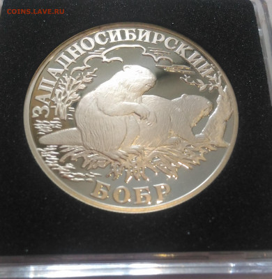 КРАСНАЯ КНИГА серебро на оценку - 1