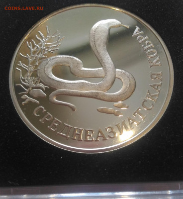 КРАСНАЯ КНИГА серебро на оценку - 1