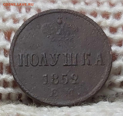 денежка, полушка 1854, 1852 год. До 16.01.2020 - 20200112_133217