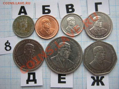 ЭКЗОТИКА-2. МНОГО ВСЯКОЙ РАЗНОЙ!!! ПОСТОЯННОЕ ПОПОЛНЕНИЕ!!! - 8-2.JPG