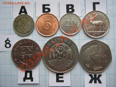 ЭКЗОТИКА-2. МНОГО ВСЯКОЙ РАЗНОЙ!!! ПОСТОЯННОЕ ПОПОЛНЕНИЕ!!! - 8-1.JPG