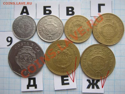 ЭКЗОТИКА-2. МНОГО ВСЯКОЙ РАЗНОЙ!!! ПОСТОЯННОЕ ПОПОЛНЕНИЕ!!! - 9-2.JPG