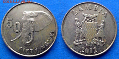 Замбия - 50 нгве 2012 года (Слон) до 19.01 - Замбия 50 нгве, 2012