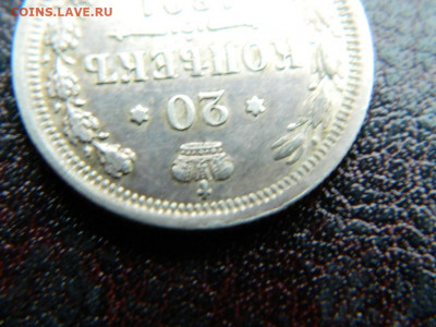 20 копеек 1891 г до 22:00 20.01.2020г - DSCN4446