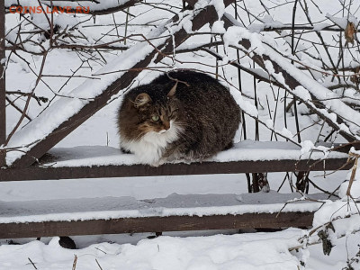 ФОТО - просто фото. Те что получились удачными. - 20200112_123400