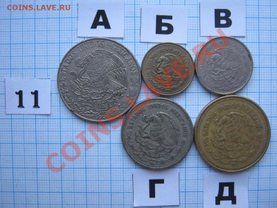 ЭКЗОТИКА-2. МНОГО ВСЯКОЙ РАЗНОЙ!!! ПОСТОЯННОЕ ПОПОЛНЕНИЕ!!! - 11-2.JPG