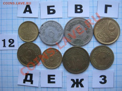 ЭКЗОТИКА-2. МНОГО ВСЯКОЙ РАЗНОЙ!!! ПОСТОЯННОЕ ПОПОЛНЕНИЕ!!! - 12-1.JPG