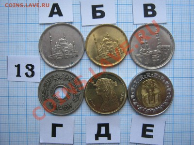 ЭКЗОТИКА-2. МНОГО ВСЯКОЙ РАЗНОЙ!!! ПОСТОЯННОЕ ПОПОЛНЕНИЕ!!! - 13-2.JPG
