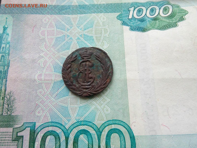 полушка сибирская 1768 - IMG_20200115_133441 — копия