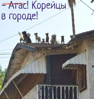 юмор - mAL-ae66INA