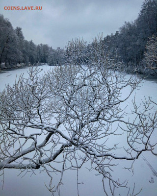 ФОТО - просто фото. Те что получились удачными. - IMG_20200111_180134_977