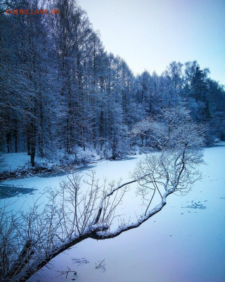ФОТО - просто фото. Те что получились удачными. - IMG_20200111_180407_614