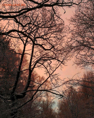Рассвет - IMG_20200112_123834_267