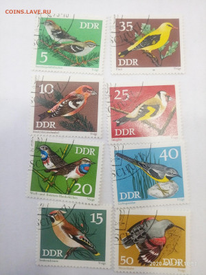 ГДР фауна птицы  1973 до 19.01.20 в 22.00 - P00115-095104
