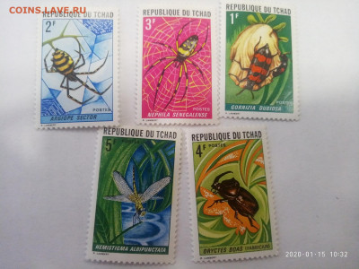 республика ЧАД .насекомые  1972 до 19.01.20 в 22.00 - P00115-093250