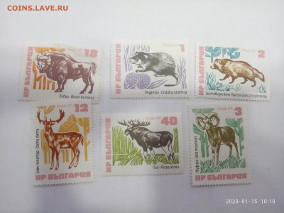 Болгария .животные  1973 до 19.01.20 в 22.00 - P00115-091903