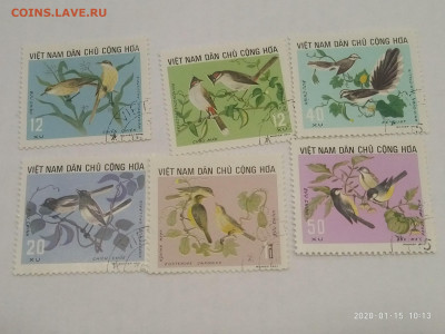 Вьетнам птицы 1971 до 19.01.20 в 22.00 - P00115-091358
