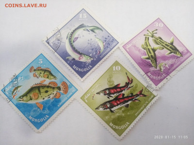 Монголия  рыбы 1965 до 19.01.20 в 22.00 - P00115-100533