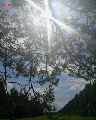 ФОТО - просто фото. Те что получились удачными. - IMG_20190805_160028_664