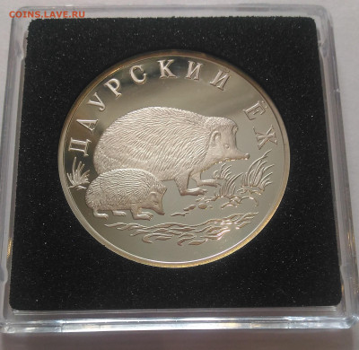 1Р Даурский Еж 1999 Красная Книга до 18.01 в 22:00 МСК - 3