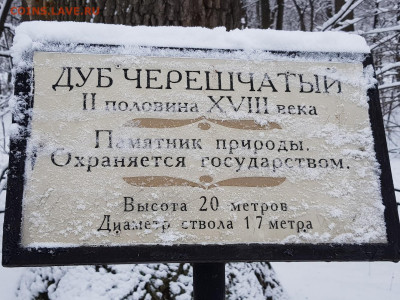 ФОТО - просто фото. Те что получились удачными. - 20200112_123757