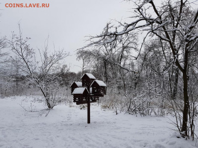 ФОТО - просто фото. Те что получились удачными. - 20200112_124239