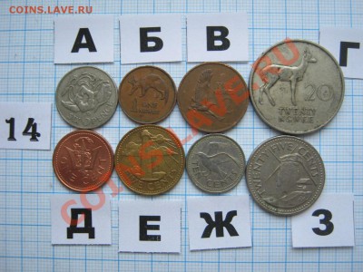 ЭКЗОТИКА-2. МНОГО ВСЯКОЙ РАЗНОЙ!!! ПОСТОЯННОЕ ПОПОЛНЕНИЕ!!! - 14-1.JPG