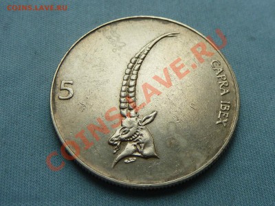 СЛОВЕНИЯ 5 толаров 1997г. КОЗЁЛ до 18.08.11 в 22-00 - MEMO0066.JPG