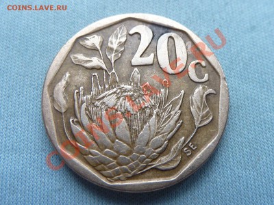 ЮЖНАЯ АФРИКА 20с 1995г. до 18.08.11 в 22-00 - MEMO0069.JPG