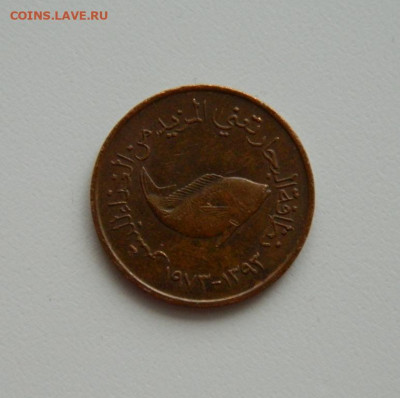 ОАЭ 5 филсов 1973 г. (Фауна). до 20.01.20 - DSCN9961.JPG