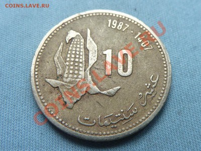 МАРОККО   10 SANTIMAT 1987г. F.A.O.  до 18.08.11 в 22-00 - MEMO0079.JPG