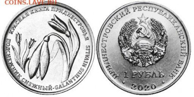 Приднестровье. - Приднестровье, 1 рубль, 2020г., Подснежник снежный