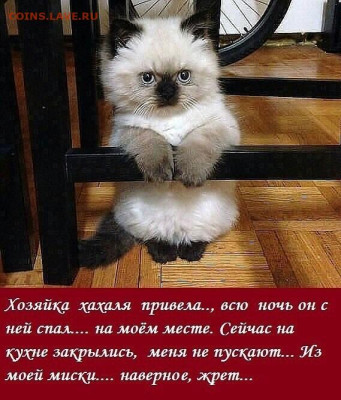 юмор - i (4)