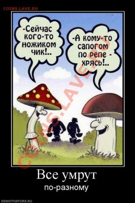 ^ ^ - 696435_vse-umrut