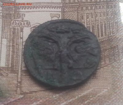 полушка 1720 буквами - 20200117_143837
