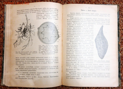 Книга "Курс Фармакогнозии" 1911г. - SAM_6355.JPG
