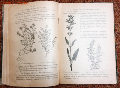 Книга "Курс Фармакогнозии" 1911г. - SAM_6353.JPG