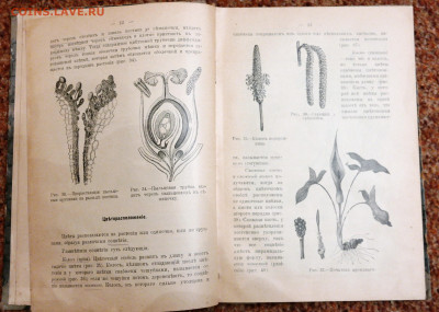 Книга "Курс Фармакогнозии" 1911г. - SAM_6352.JPG