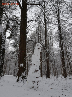 ФОТО - просто фото. Те что получились удачными. - 20200112_125412