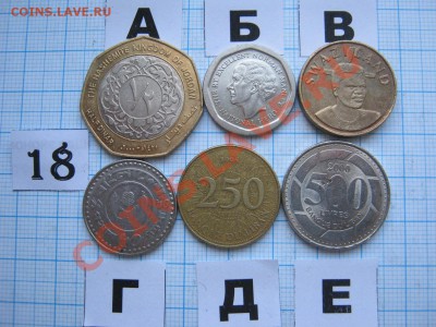 ЭКЗОТИКА-2. МНОГО ВСЯКОЙ РАЗНОЙ!!! ПОСТОЯННОЕ ПОПОЛНЕНИЕ!!! - 18-1.JPG