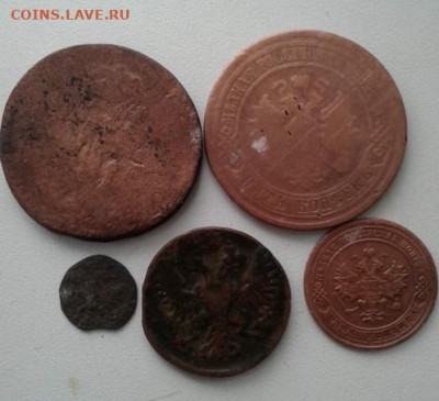 5 медных монет(лот N1). До 24.01.20  22:00 - image