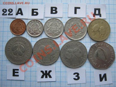 ЭКЗОТИКА-2. МНОГО ВСЯКОЙ РАЗНОЙ!!! ПОСТОЯННОЕ ПОПОЛНЕНИЕ!!! - 22-2.JPG