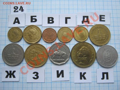 ЭКЗОТИКА-2. МНОГО ВСЯКОЙ РАЗНОЙ!!! ПОСТОЯННОЕ ПОПОЛНЕНИЕ!!! - 24-2.JPG