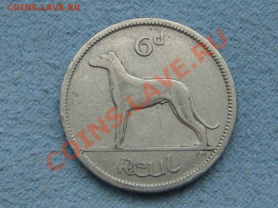 -v- Ирландия 6 пенса 1928 Собака  до 19.08(21.00) - DSC03695.JPG
