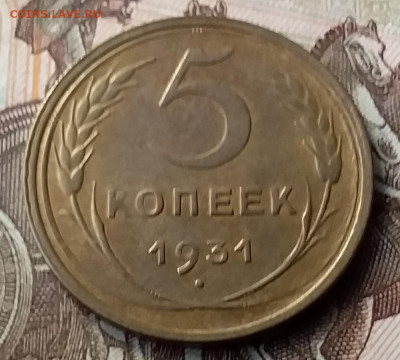 5 копеек 1931. До 23.01.20 в 22.00 - 20200119_124953